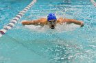 Swimming vs Bentley  Wheaton College Swimming vs Bentley. - Photo By: KEITH NORDSTROM : Wheaton, Swimming, Bentley